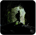 Explore some of the Forests many tunnels- Fun, a little bit scary and not as exerting as caving!!