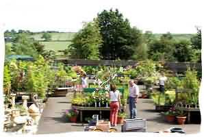 Welcome to one of Hereford's finest garden centres, Radway Bridge Garden Centre and Nurseries