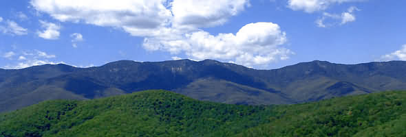 The Black Mountain range of hills