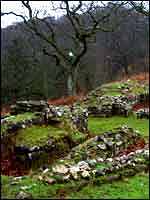 Dwarfs Hill Roman site in Lydney Park