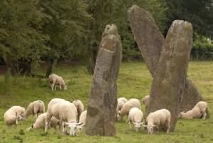 Harold's Stones in the Village of Trellech in monmouthshire Wales